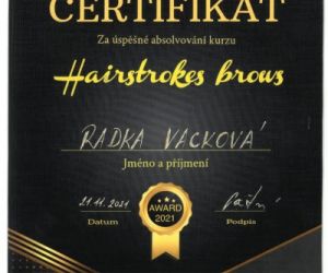 Certifikát vláskování přístrojem / HAIRSTROKES